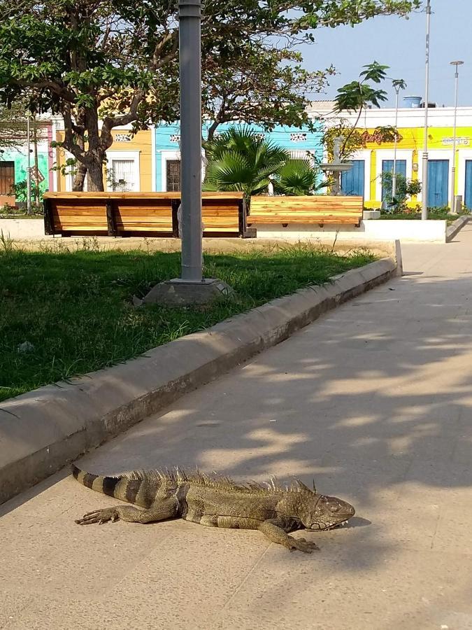 El Habitante Casa Cultural & Hostal Сьенага Экстерьер фото